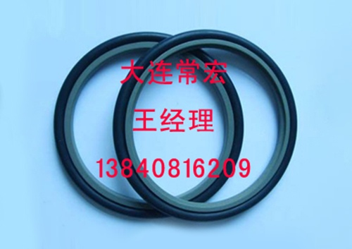 轴用斯特封